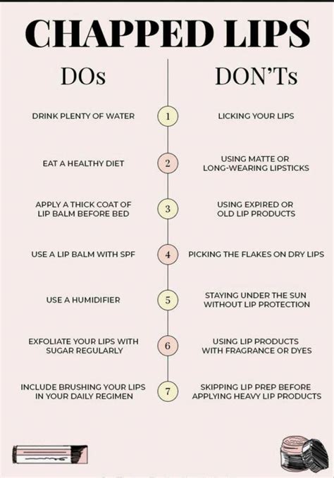 pamper  pout essential steps   luxurious lip care routine