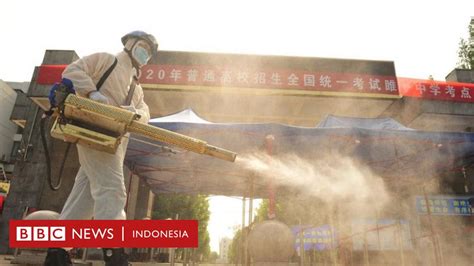 Covid 19 Who Kirim Tim Ke China Untuk Selidiki Perpindahan Virus