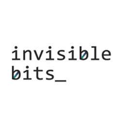 Invisible Bits Crunchbase Company Profile Funding