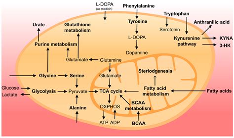 Metabolites Free Full Text Biomarker Research In Parkinsons