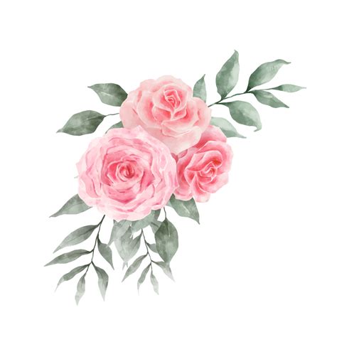 Pink And Red Rose Flowers Watercolor Vector Isolated On White