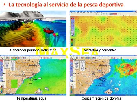 La Cadena Trofica Alimentaria Cadena Trfica Del Griego