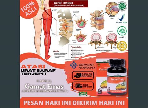 obat saraf syaraf kejepit terjepit hernia nukleus pulpos hnp herbal