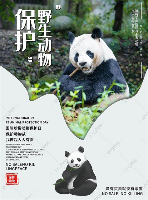 Poster Of International Rare Animal Protection Day Template Download On