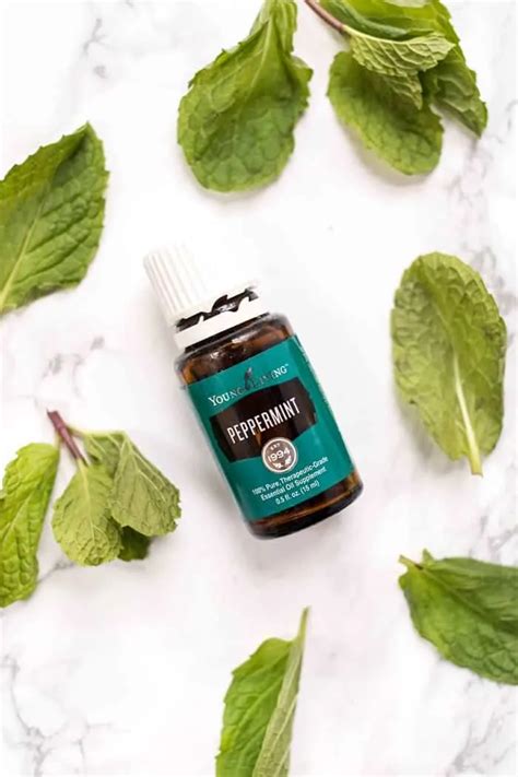 How To Use Peppermint Essential Oil Simply Quinoa