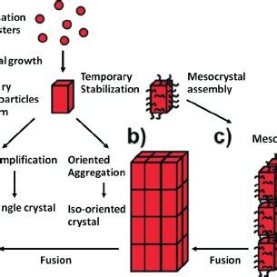 Schematic Representation Of Both Classical And Non Classical