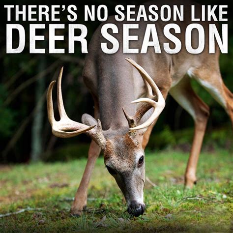 Most Popular Hunting Quotes And Sayings