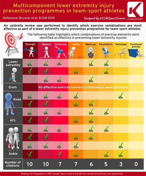 Groin – YLMSportScience