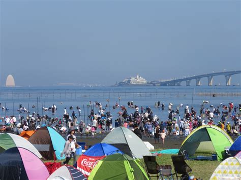 潮干狩り金田みたて海岸イベント千葉県公式観光サイト ちば観光ナビ