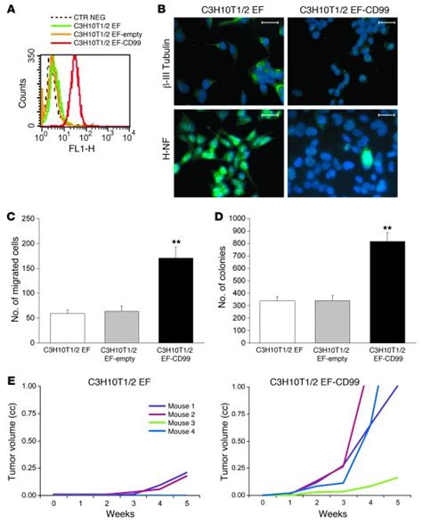 Jci Cd99 Inhibits Neural Differentiation Of Human Ewing Sarcoma Cells