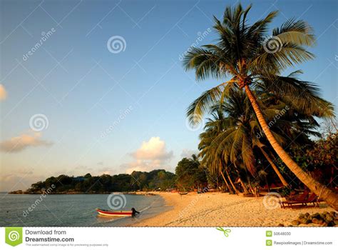 Beach And Coconut Trees On An Island Of Mu Ko Ang Thong National Marine