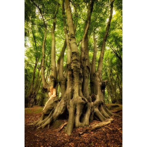 Epping Beech Altar Treegirl Nude Fine Art Print Etsy