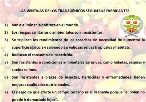 Ventajas Y Desventajas De Los Alimentos Transg Nicos Cuadro Comparativo