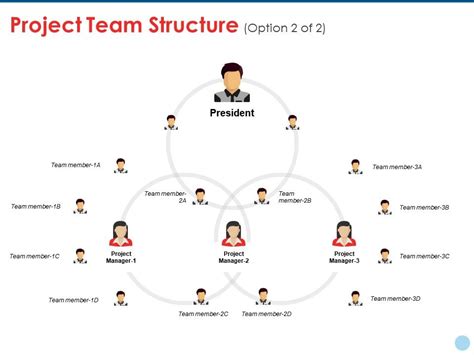 Team Structure Template