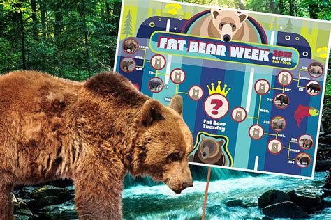 Fat Bear Week Champion Crowned Following Record Vote Totals