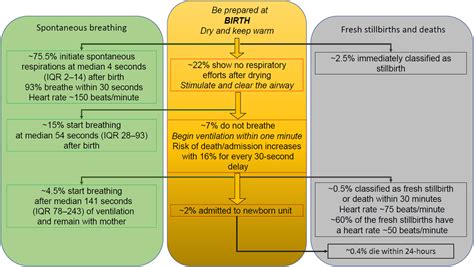 Beyond Basic Resuscitation What Are The Next Steps To Improve The