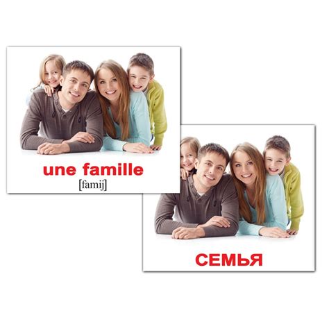 Мини-карточки Домана "Семья/La famille" на рус/фран. Вундеркинд с ...