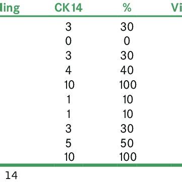 Expression Of Cytokeratin Vimentin By Type A And Type B Cells In