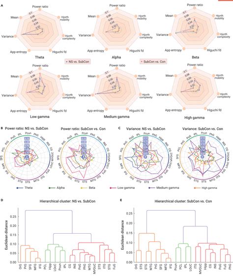Figure 6 from Mapping the emergence of visual consciousness in the ...