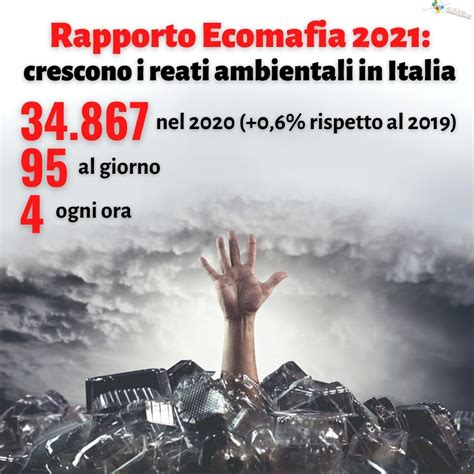 Rapporto Ecomafia Crescono I Reati Ambientali Alvearia