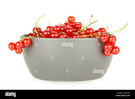 Red Currant Berry In A Grey Ceramic Bowl Isolated On White Stock Photo