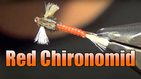 Chironomid Midge Larva Fly Tying Great Trout Pattern For Lakes