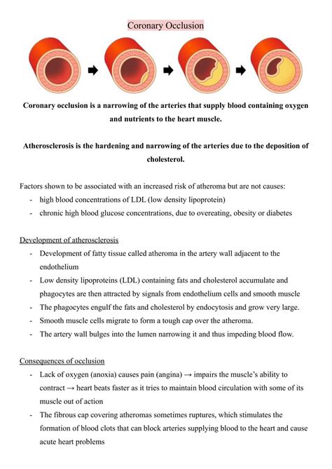 Bodily Systems | Biology H2 - GCE A Level | Thinkswap