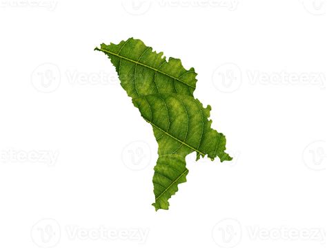 Moldova Map Made Of Green Leaves Ecology Concept Png