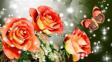 Fire Roses wallpaper | nature and landscape | Wallpaper Better