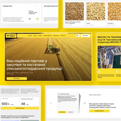 An explanation of the charity work at out of the closet brooklyn 7