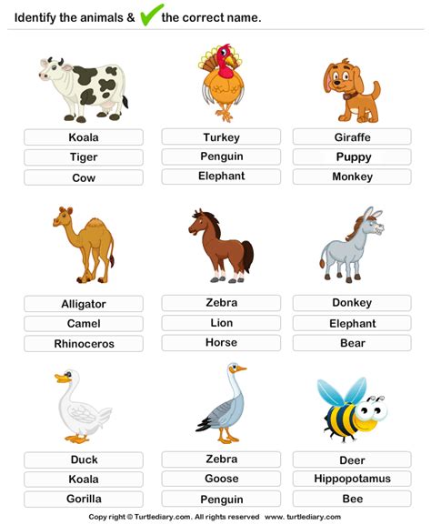 Learning Farm Animals Turtle Diary Worksheet