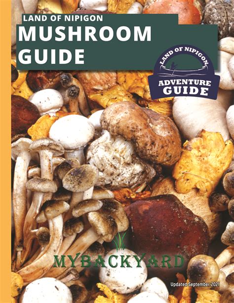 This Guide Shows Where To Buy Mushroom Canada Products In Every Province - RYZE Superfoods