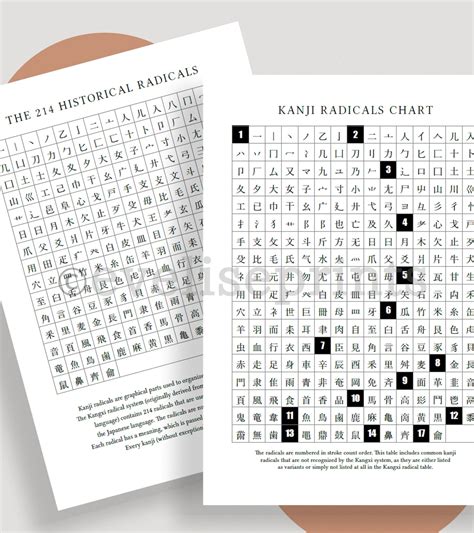 Japanese Kanji Radicals Worksheet Pack Printable Etsy