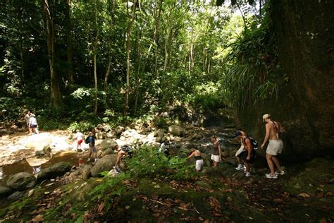 Tripadvisor Regenwald Wanderung Abenteuer Zur Verf Gung Gestellt Von