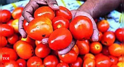 Govt Cuts Price Of Subsidised Tomato To Rs Kg India News Times