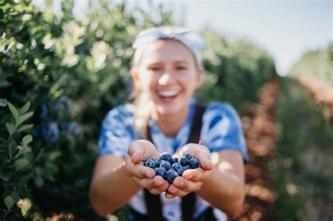 Blueberry Industry Groups Blueberries