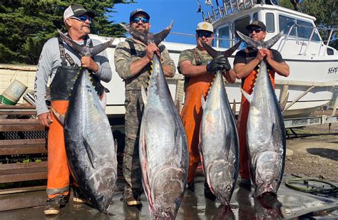 Fish Report Bluefin Tuna Hitting The Decks From Sf To Shelter Cove