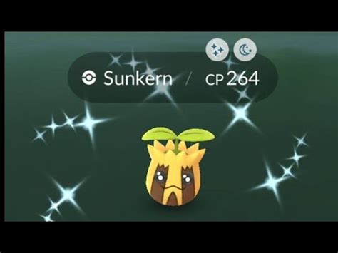 Sunkern Spotlight Hour Shiny Hunt Live Pokemon GO YouTube