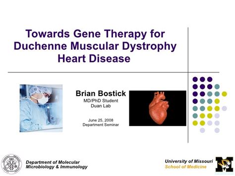 Towards Gene Therapy For Duchenne Muscular Dystrophy Heart Disease