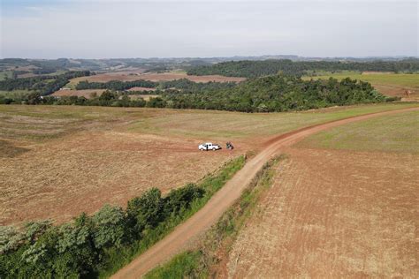 Ação contra desmatamento ilegal no Sudoeste resulta em R 2 8 milhões