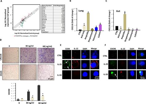 Ccr9 Cxcr6 And Their Ligands Are Required For Ilc2 Migration A