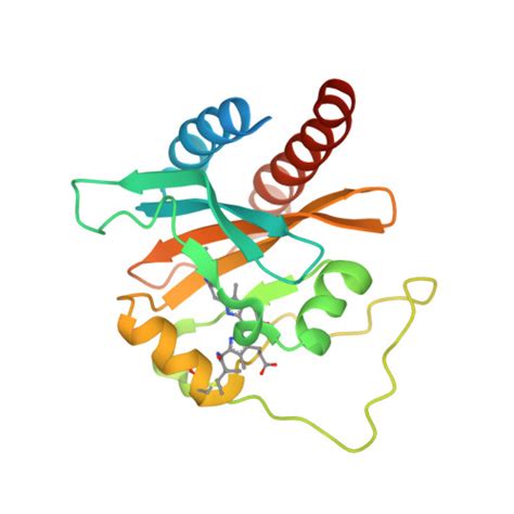 RCSB PDB 2LB9 Refined Solution Structure Of A Cyanobacterial