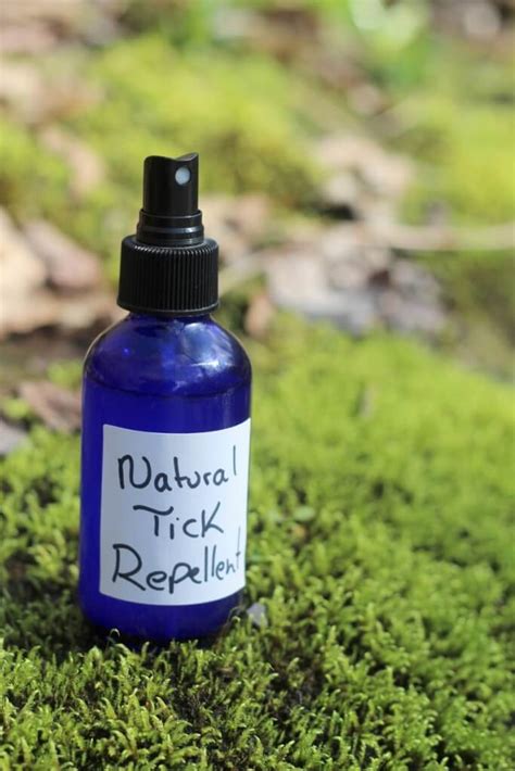 Natural Tick Repellent Homemade Recipe