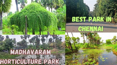 Madhavaram Horticulture Park Best Park In Chennai And It S Details