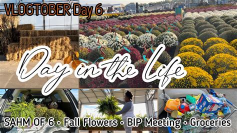 SHOPPING FOR FALL PLANTS WALMART GROCERY HAUL VLOGTOBER Day 6