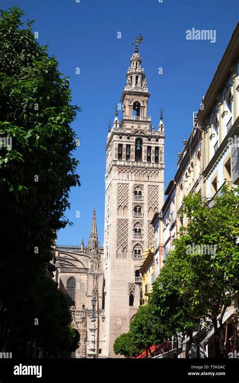 Giralda and Seville Cathedral Stock Photo - Alamy