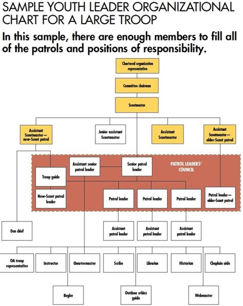 Troop Leadership Positions Scout USA Troop 313