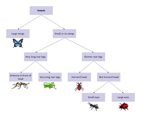 Biology Notes For Igcse 2014 And 2024 1 4 Dichotomous Keys Worksheets Library