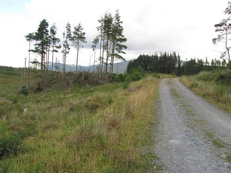 Achray Forest Richard Webb Geograph Britain And Ireland