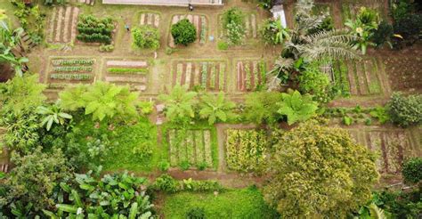 From Ubud Balinese Cooking Class At Organic Farm Getyourguide